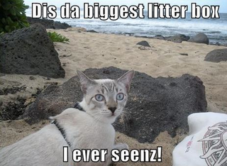 May your weekend have infinite possibilities